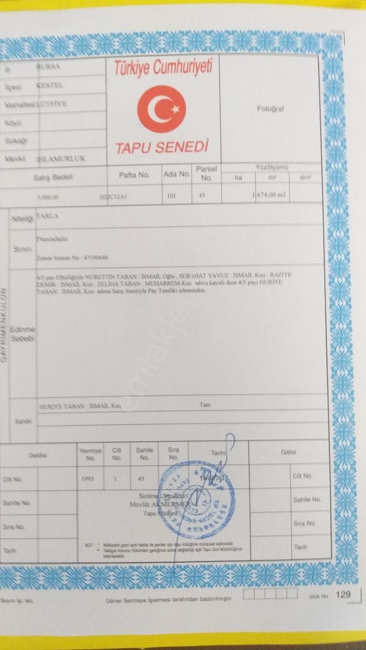 Kestel Lütfiye,de Ahududu Ekili Satılık 1674 M2 Hobi Bahçesi - Görsel 6