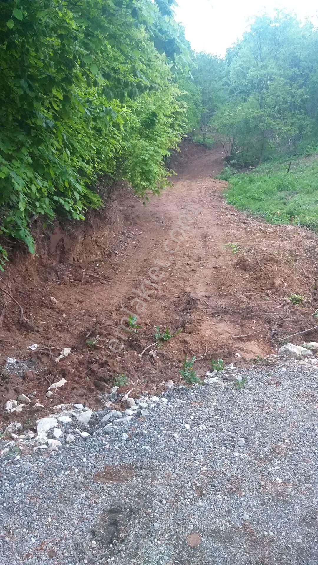 Kestel Lütfiye,de Ahududu Ekili Satılık 1674 M2 Hobi Bahçesi - Görsel 4