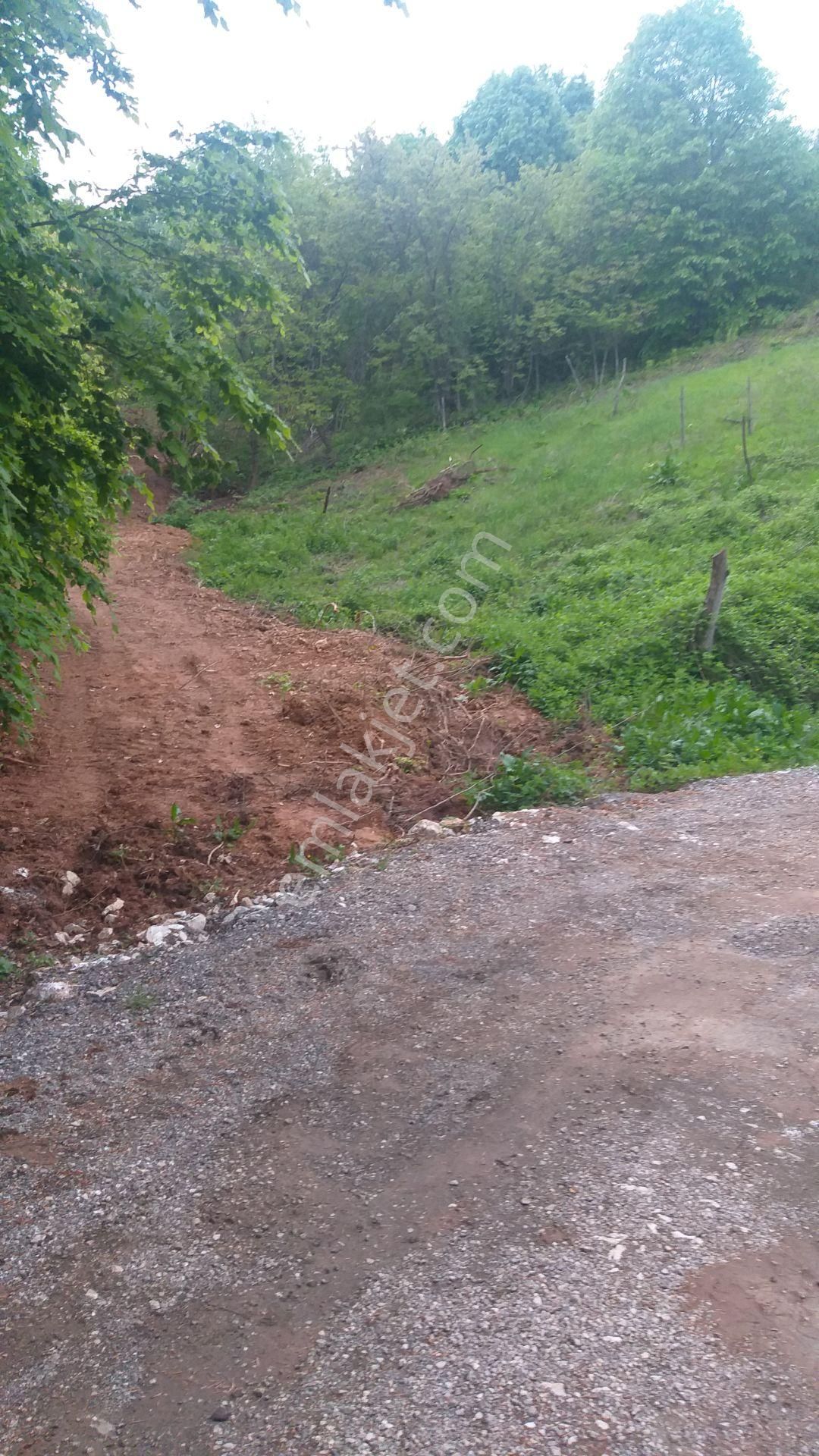 Kestel Lütfiye,de Ahududu Ekili Satılık 1674 M2 Hobi Bahçesi - Görsel 9