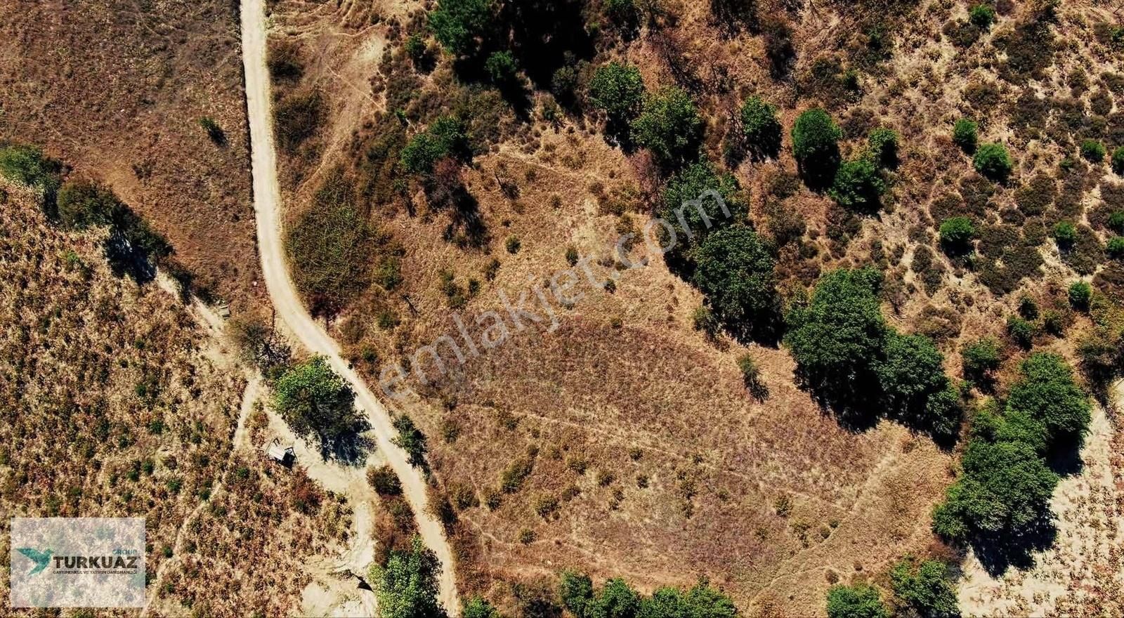 Bayramiç Gedik Köyü Satılık Tarla Bayramiç,gedik,köyü, Kadastral Yolu Olan Tarla