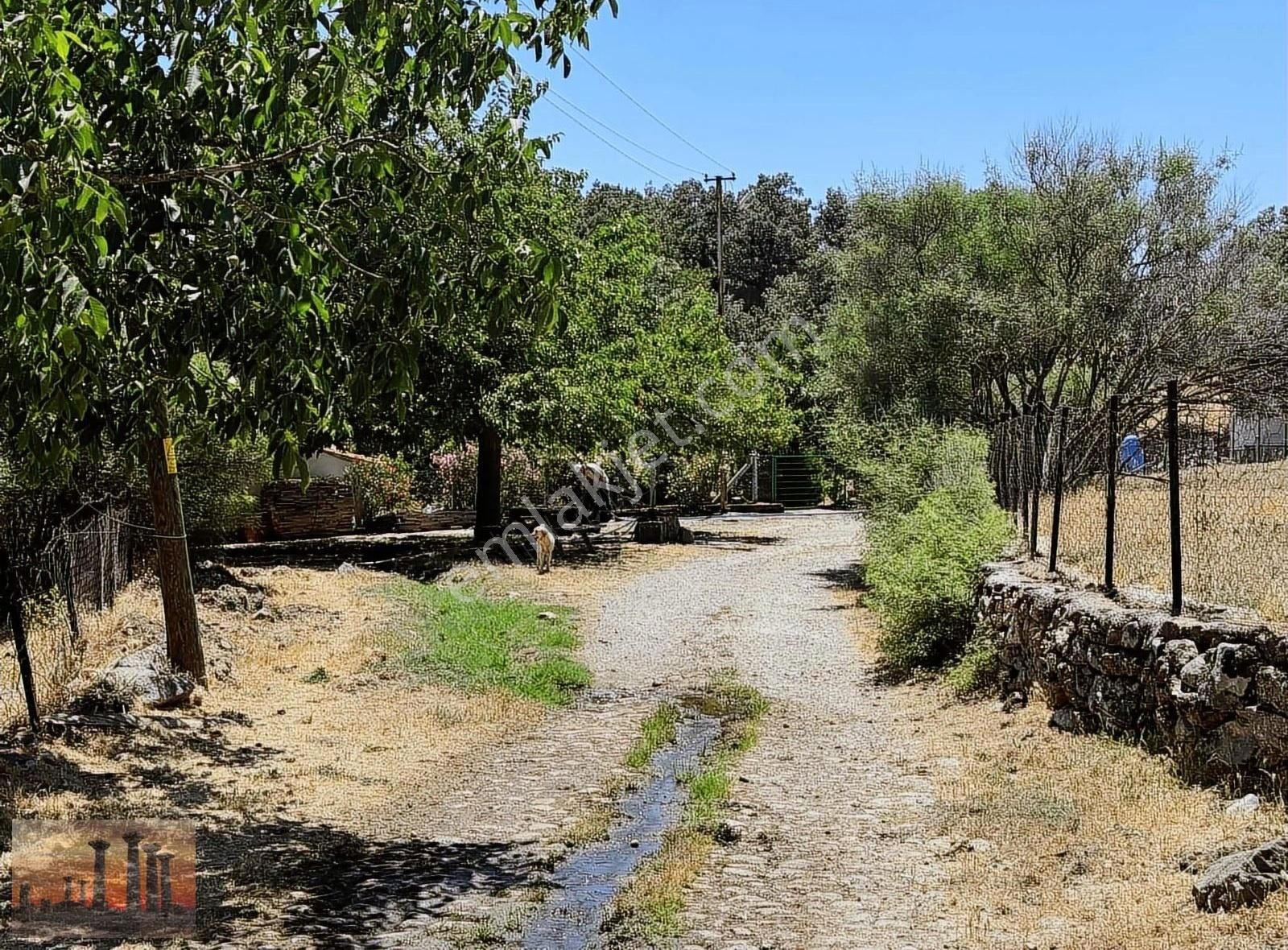 Ayvacık Söğütlü Köyü Satılık Konut İmarlı Assos Han Emlak'tan Söğütlü Köyünde İmarlı Arsa