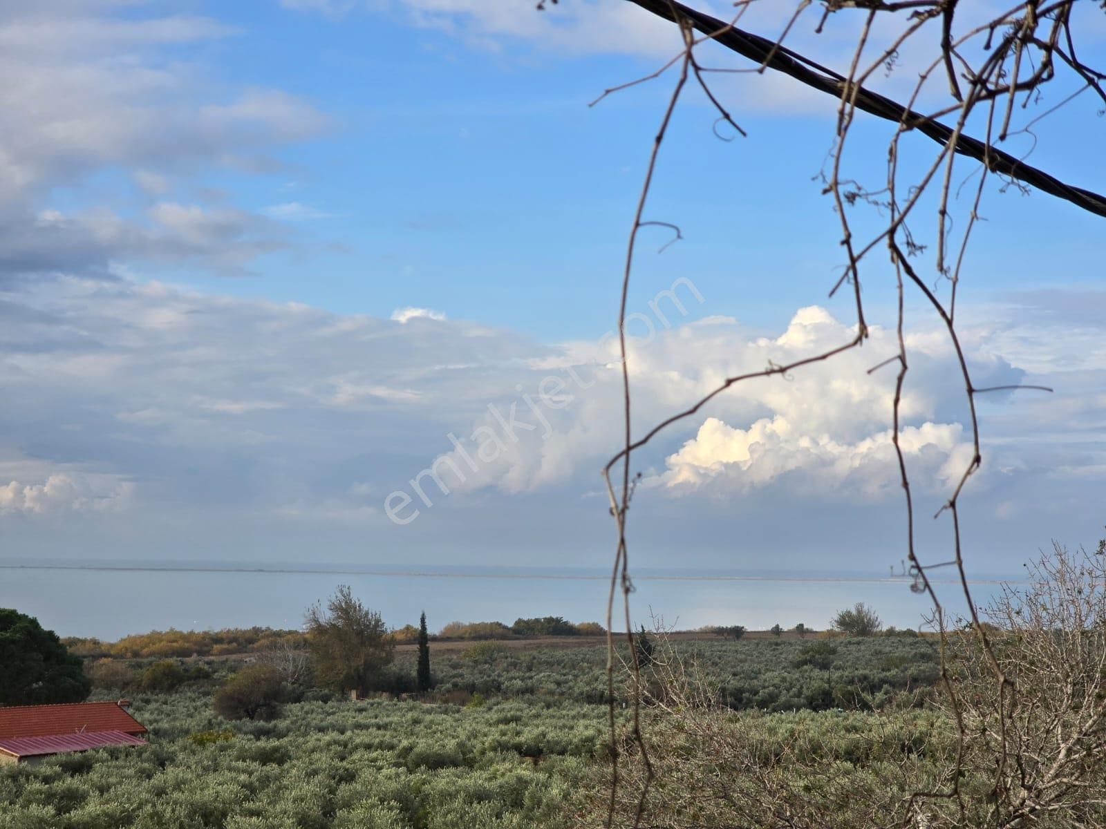 Söke Doğanbey Devren Restaurant Aydın Söke Doğanbey Devir Balık Restaurant