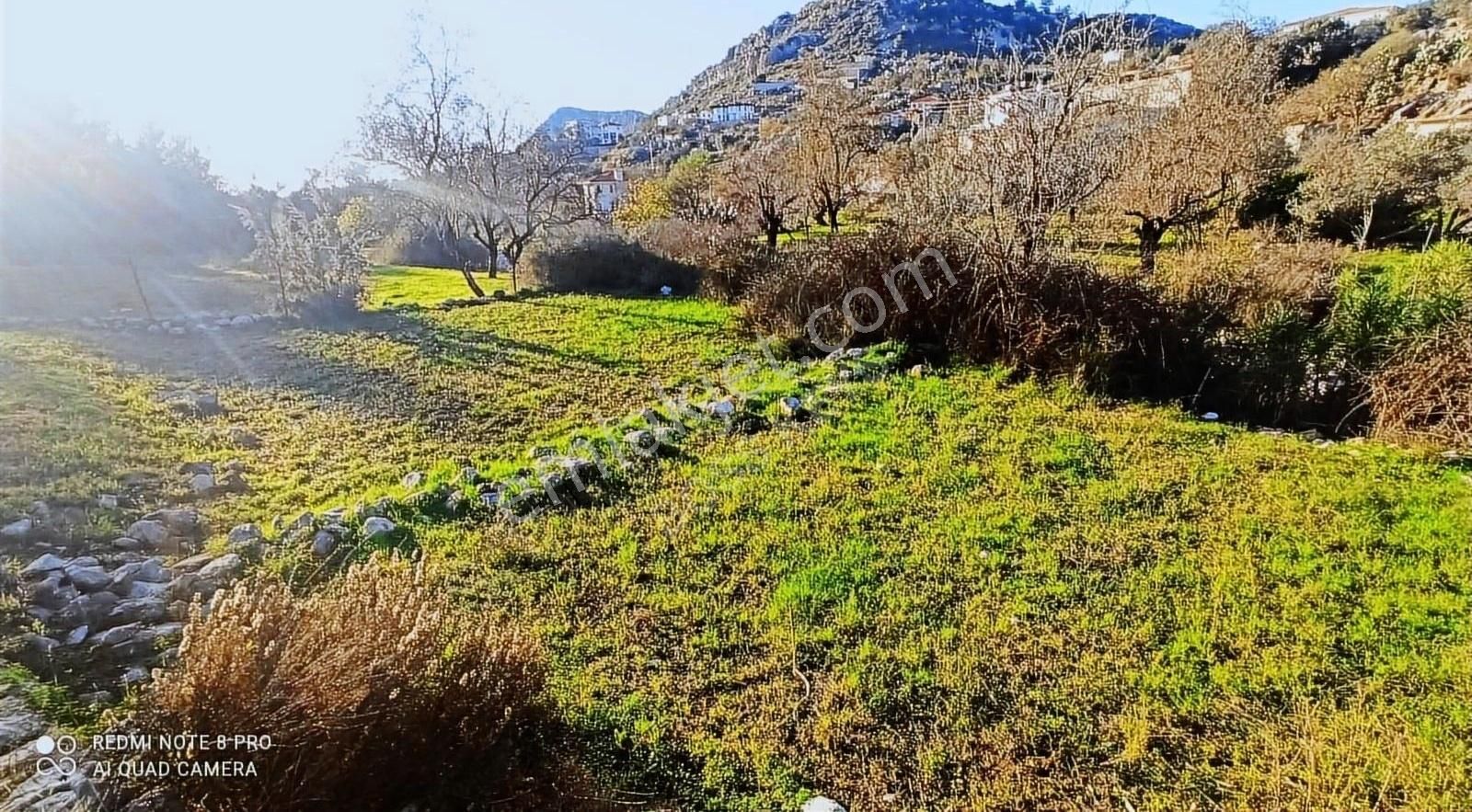 Marmaris Söğüt Satılık Konut İmarlı Söğüt'te Kelepir Satılık Vilalık Tiny House Lık Arsa Denize 1km