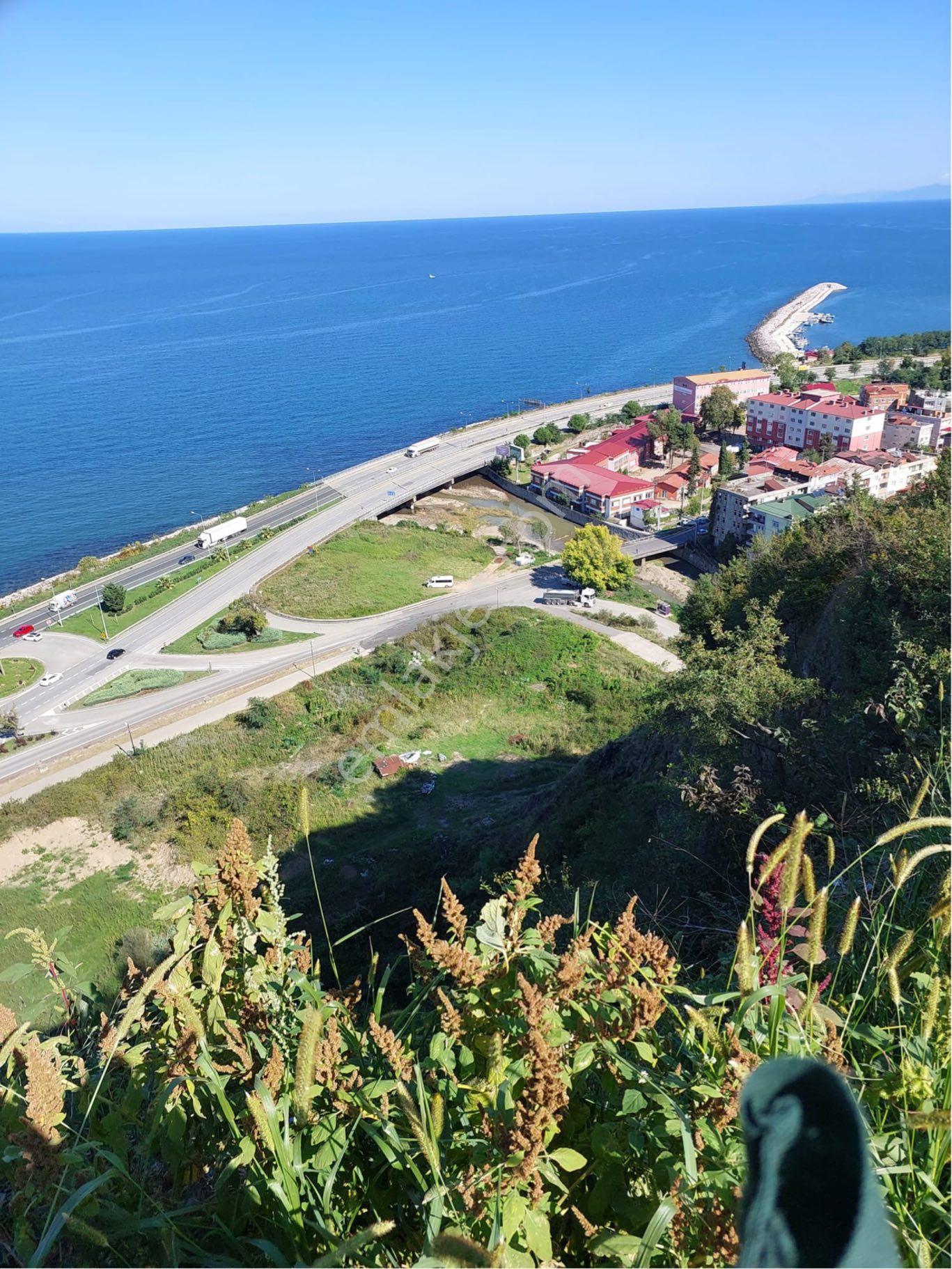 Gülyalıda 4572m2 Karadeniz Ve Havalimanı Manzaralı İmarlı Arsa - Görsel 14