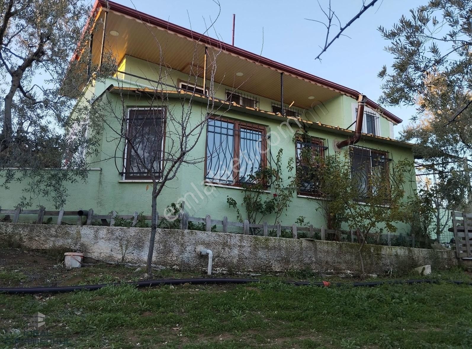 Gemlik Umurbey Satılık Zeytinlik İdeal'den Umurbey De Satılık 1779m² Ye Kurulu Düzen Bağ Evi