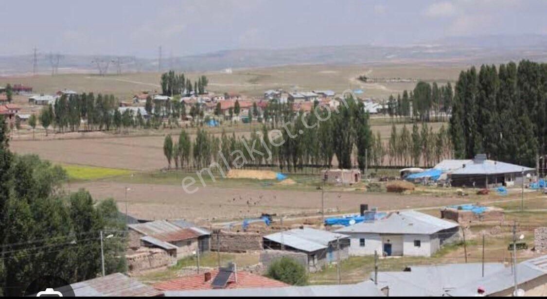 Kiralık Sulak 200 Dönüm