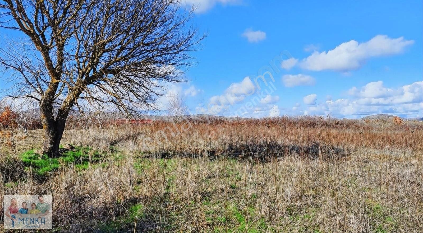 Yunusemre Osmancalı Satılık Tarla Manisa Yunusemre Osmancalı Da Yatırımlık 4025 M2 Satılık Tarla