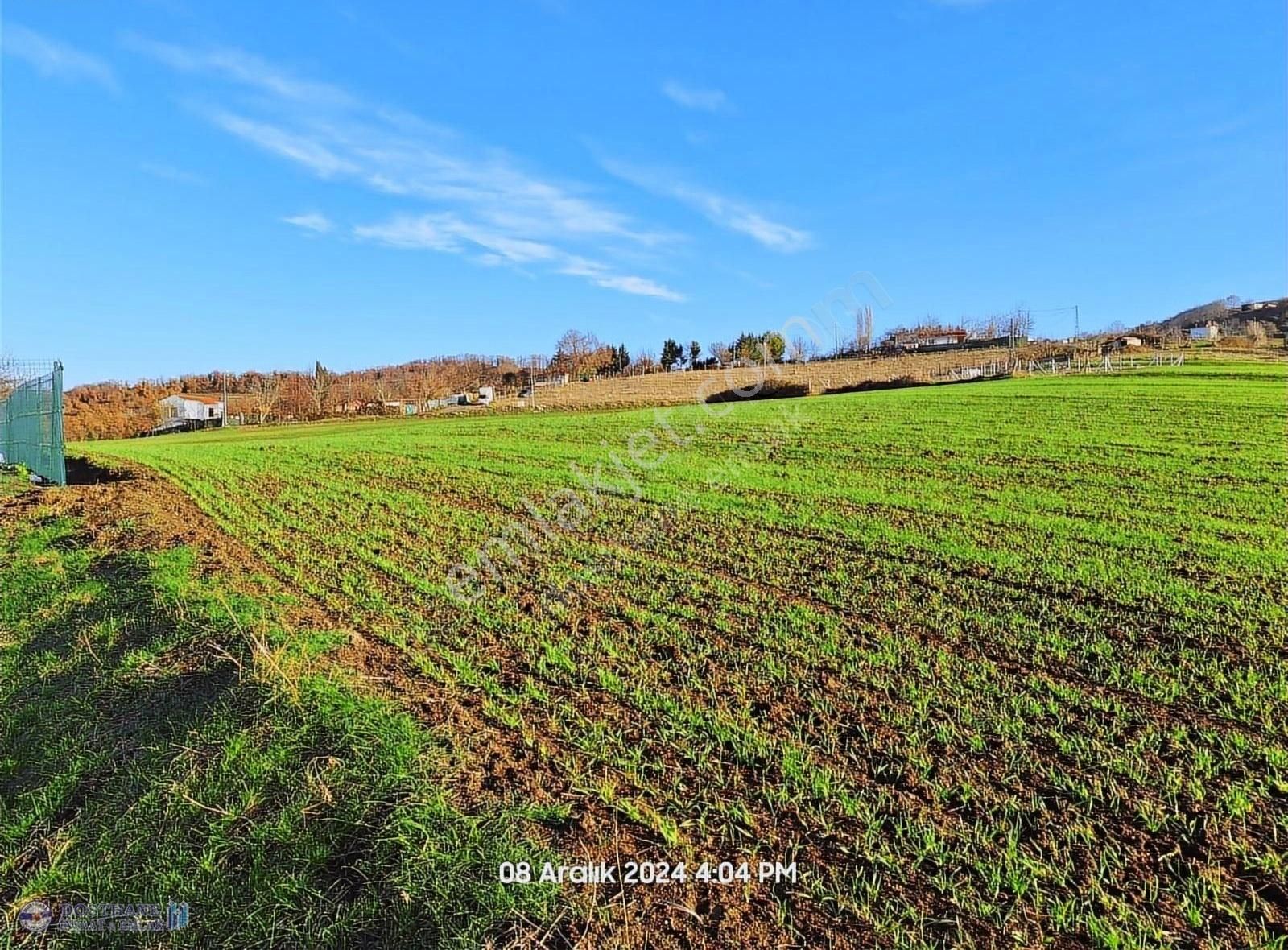 Arnavutköy Baklalı Satılık Tarla Arnavutköy Baklalı Da Havaalanı Yanında Satılık 180 Mt Arsa