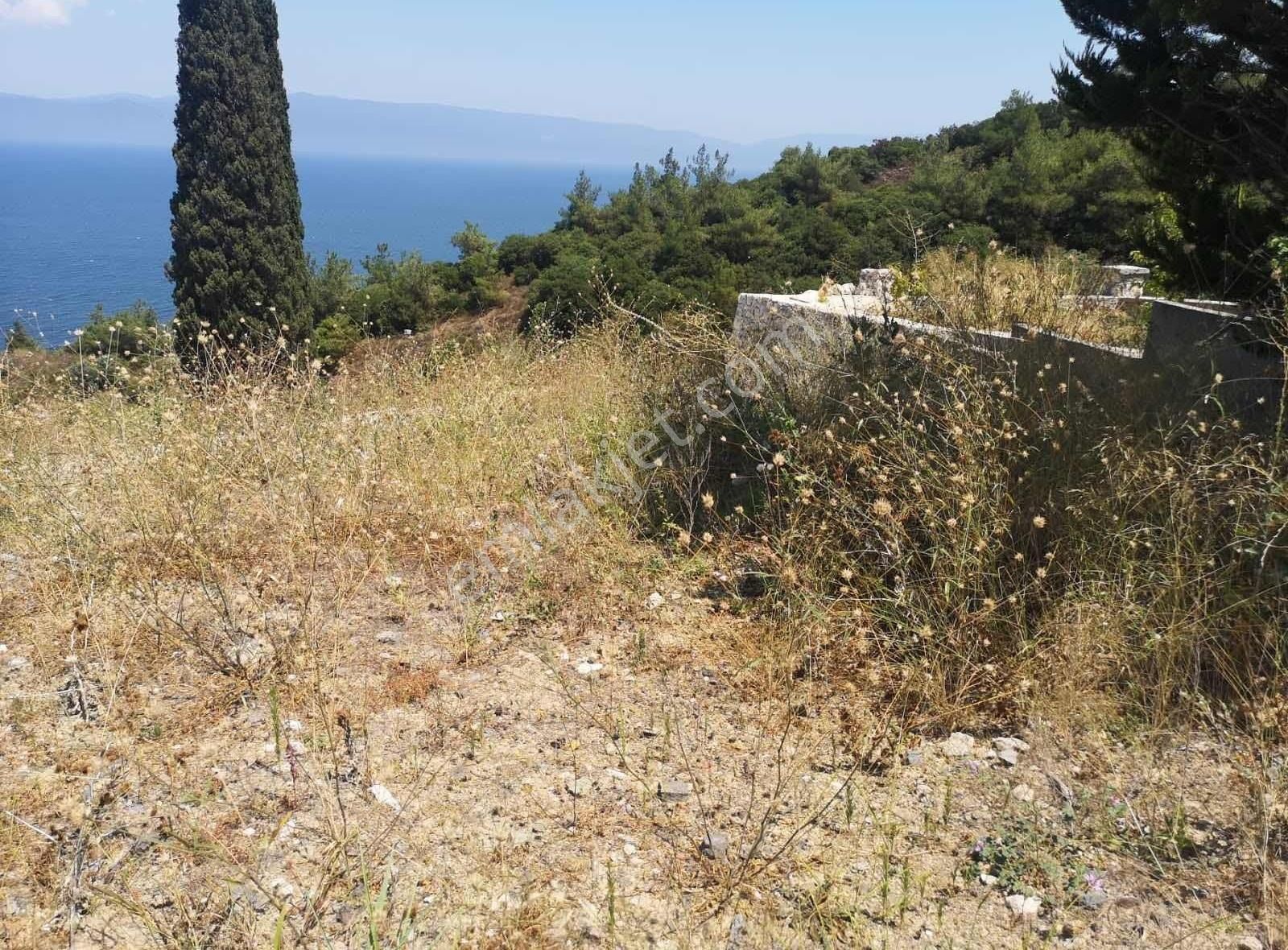 Altıntaş Köyünde Deniz Manzaralı Evi Olan Arazi - Görsel 9