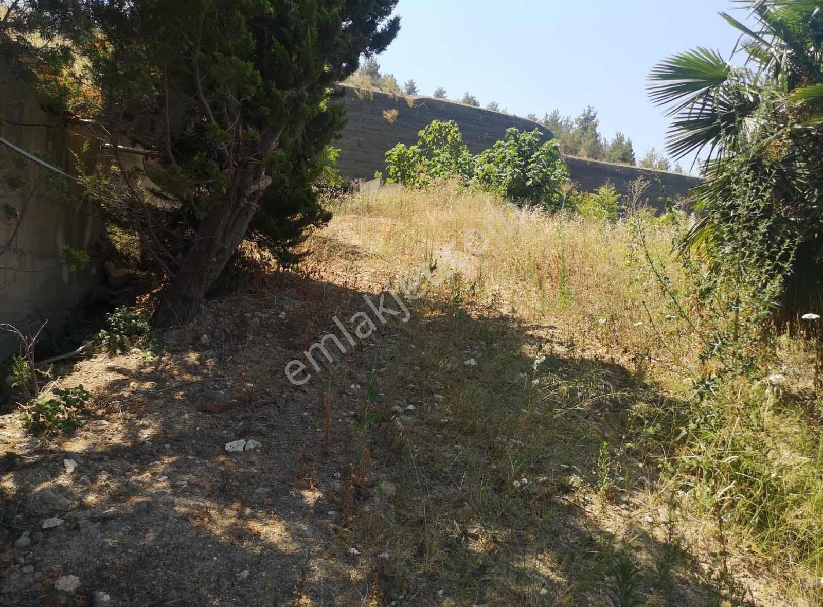 Altıntaş Köyünde Deniz Manzaralı Evi Olan Arazi - Görsel 6