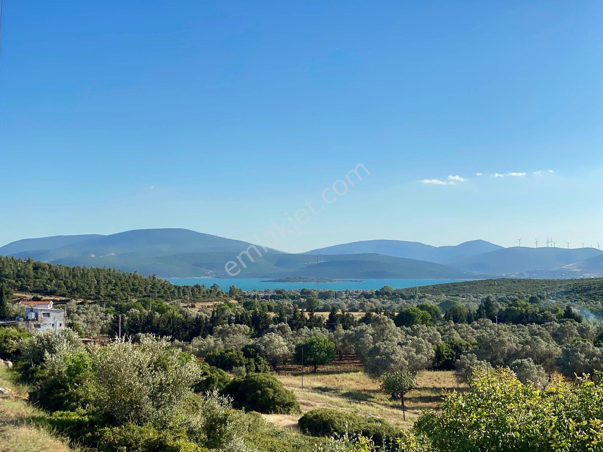 Urla Özbek Satılık Tarla Urlanın Meşhur Köyü 8.947m2 Köyiçi İmarlı 250 M2 İnşaat Alanı Tarla