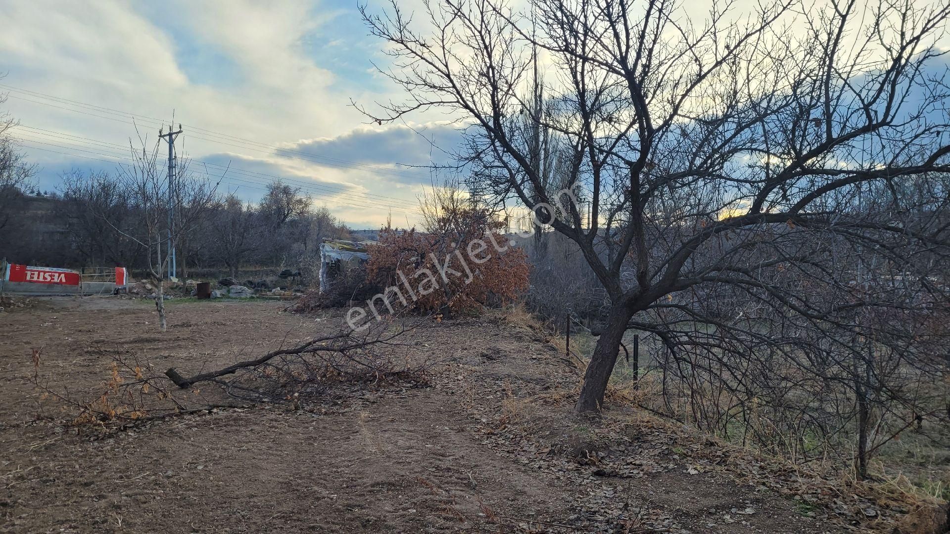 Nevşehir Merkez Nar Bld. (Aşağı) Satılık Bağ & Bahçe Narda Yola Sıfır Yatırımlık