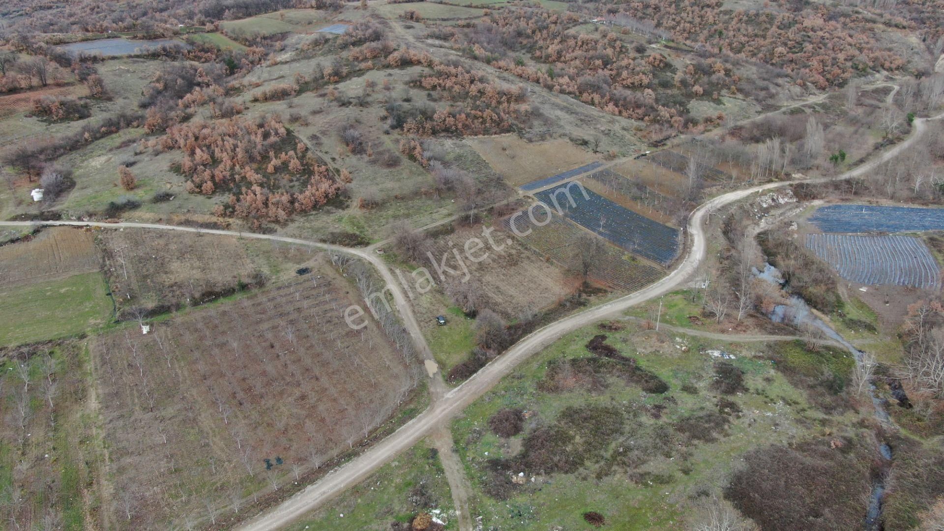 Kurşunlu Mh.sinde İmarın İçerisinde Bahçe 262m2 Hobi İçin Güzel Yer - Görsel 3