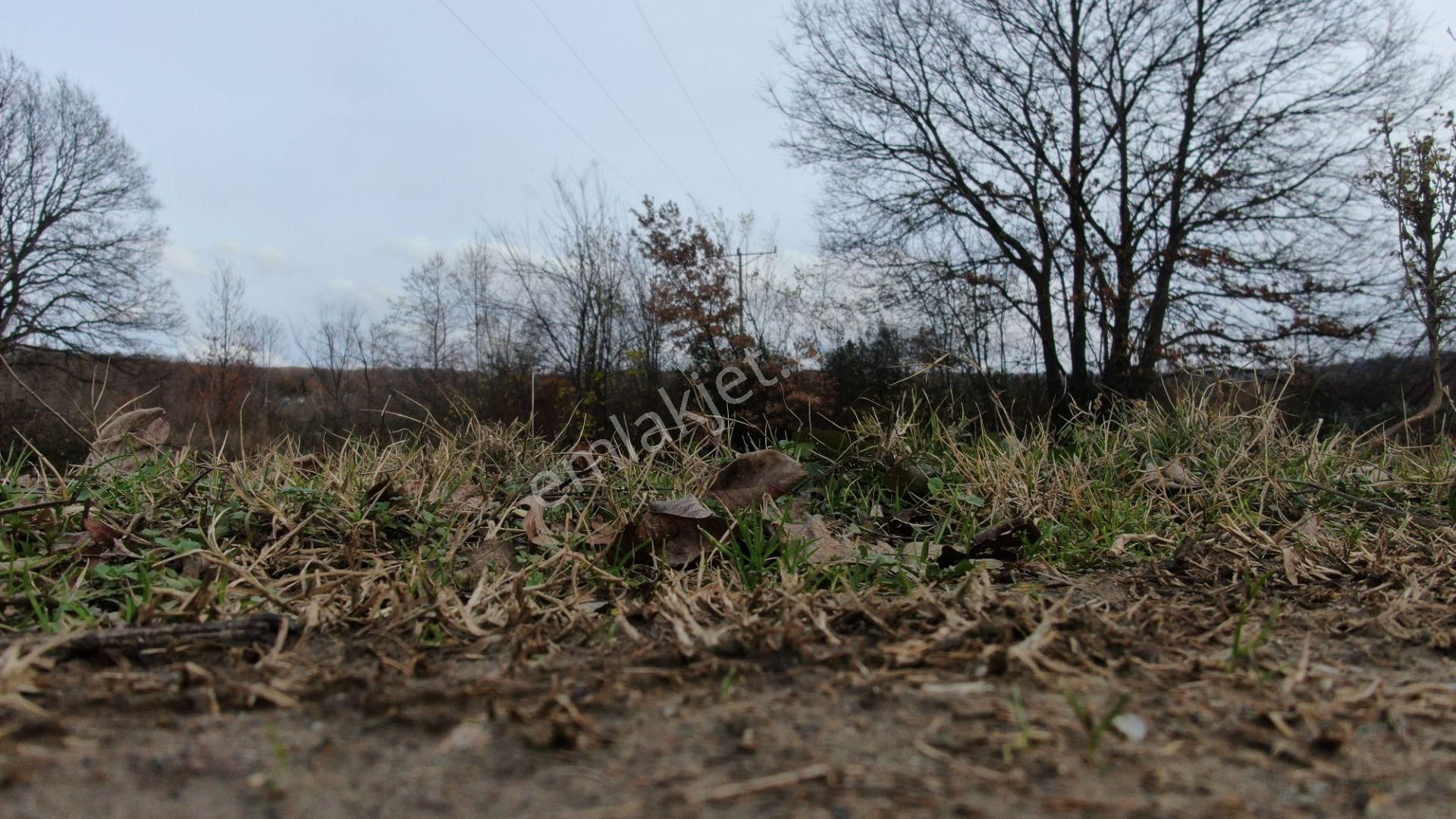 Kurşunlu Mh.sinde İmarın İçerisinde Bahçe 262m2 Hobi İçin Güzel Yer - Görsel 8