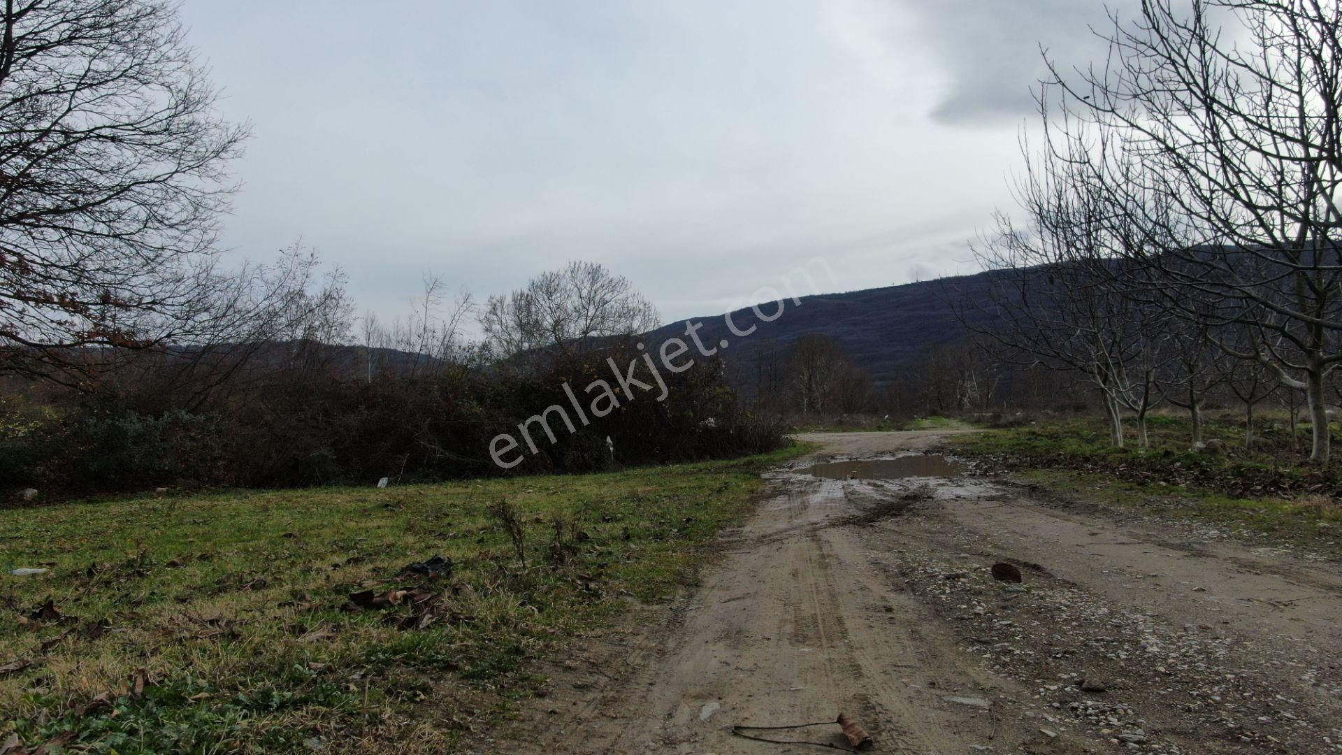 Kurşunlu Mh.sinde İmarın İçerisinde Bahçe 262m2 Hobi İçin Güzel Yer - Görsel 6