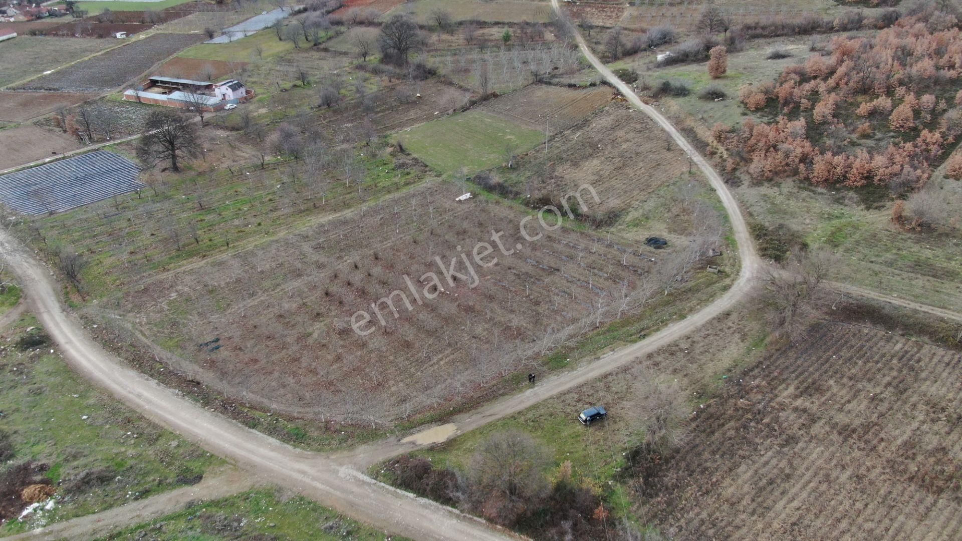 Kurşunlu Mh.sinde İmarın İçerisinde Bahçe 262m2 Hobi İçin Güzel Yer - Görsel 2