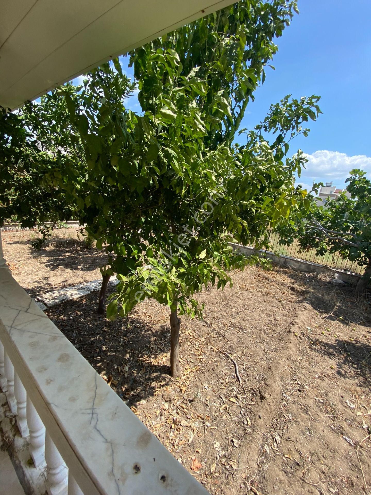 Dikili Güven Emlak'tan Cumhuriyet Mahallesinde Denize Sıfır Satılık Villa - Görsel 35