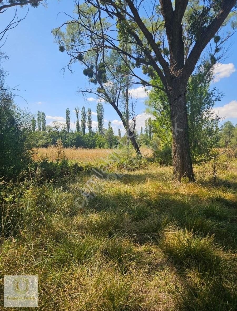 Emet Aydıncık Köyü (Cumhuriyet) Satılık Tarla Kütahya Emette Kadastral Yol Mevcut Mustakıl Tarla