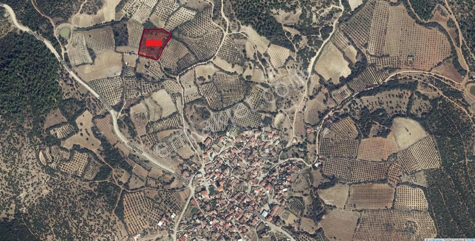 Salihli Kurttutan Satılık Tarla Kurttutan Köyü Yanında 6.233 M2 Tarla