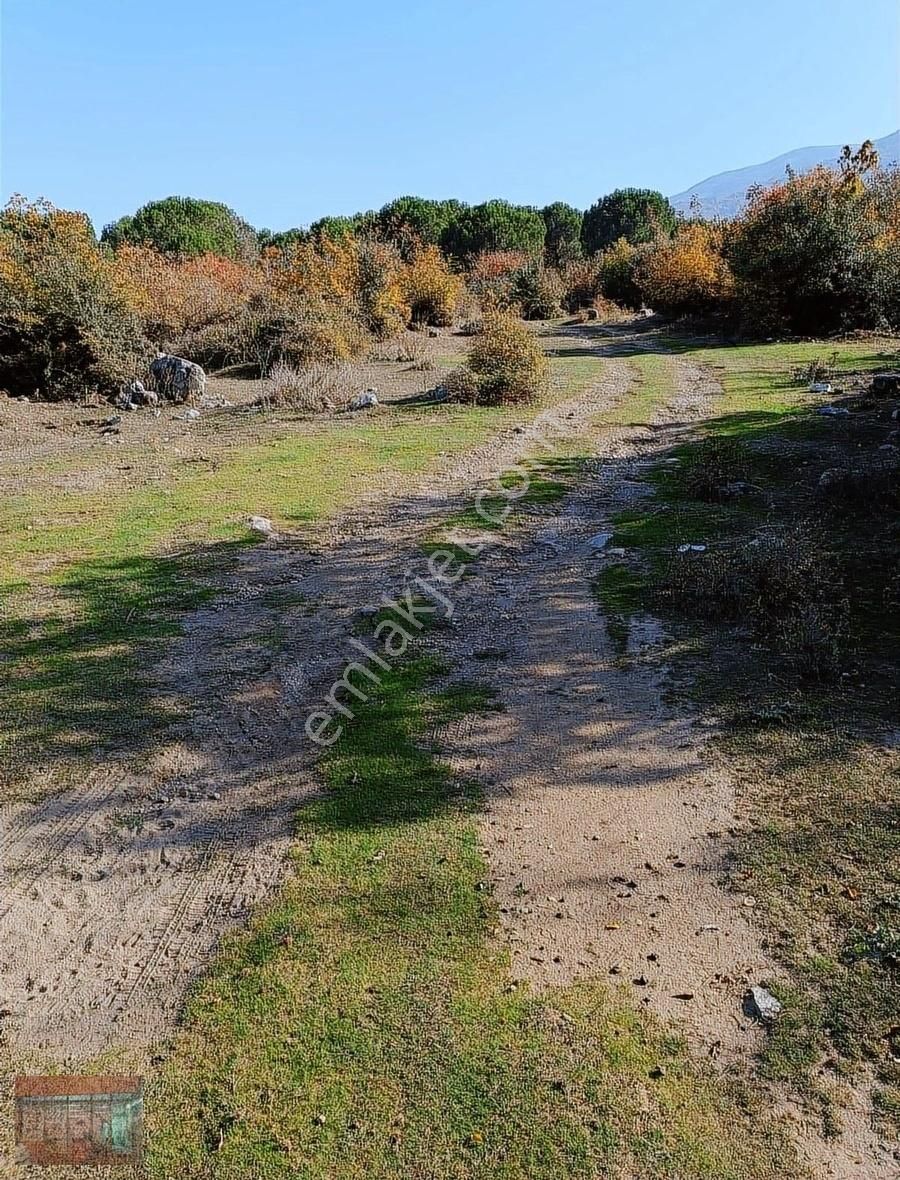 Aktaş 'tan Cumalıkızık Otasansit Üstü 156 M2 Tarla - Görsel 13