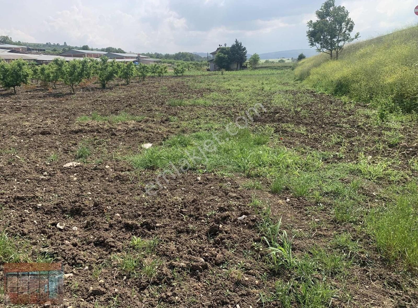 Aktaş 'tan Yenişehir İnegöl Yoluna Cepheli Tarla - Görsel 19