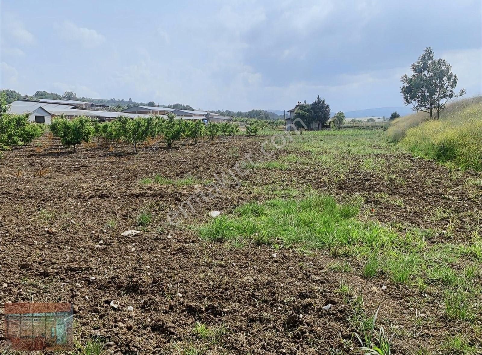 Aktaş 'tan Yenişehir İnegöl Yoluna Cepheli Tarla - Görsel 10
