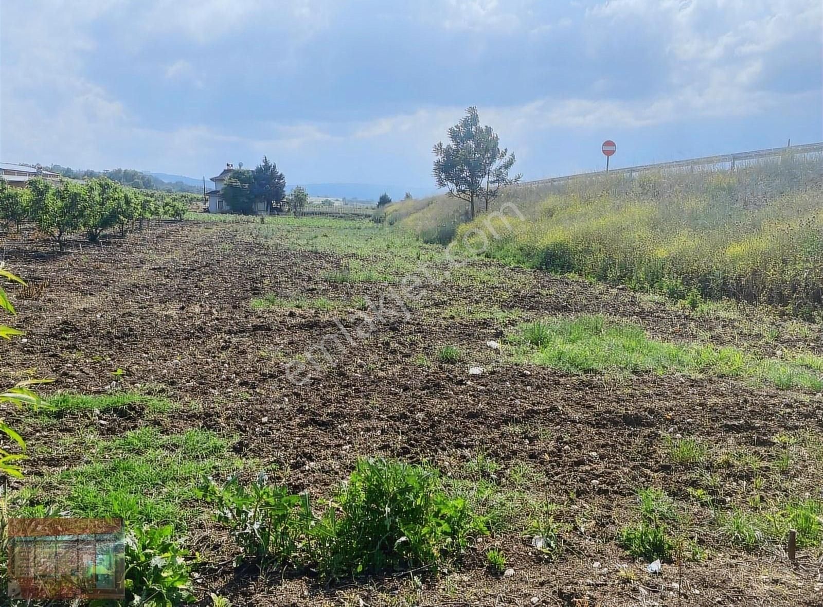 Aktaş 'tan Yenişehir İnegöl Yoluna Cepheli Tarla - Görsel 22