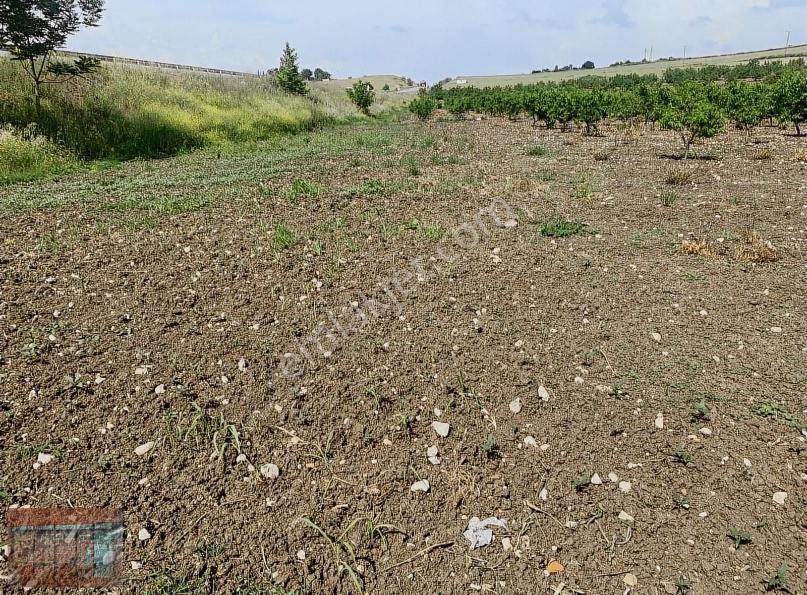 Aktaş 'tan Yenişehir İnegöl Yoluna Cepheli Tarla - Görsel 25