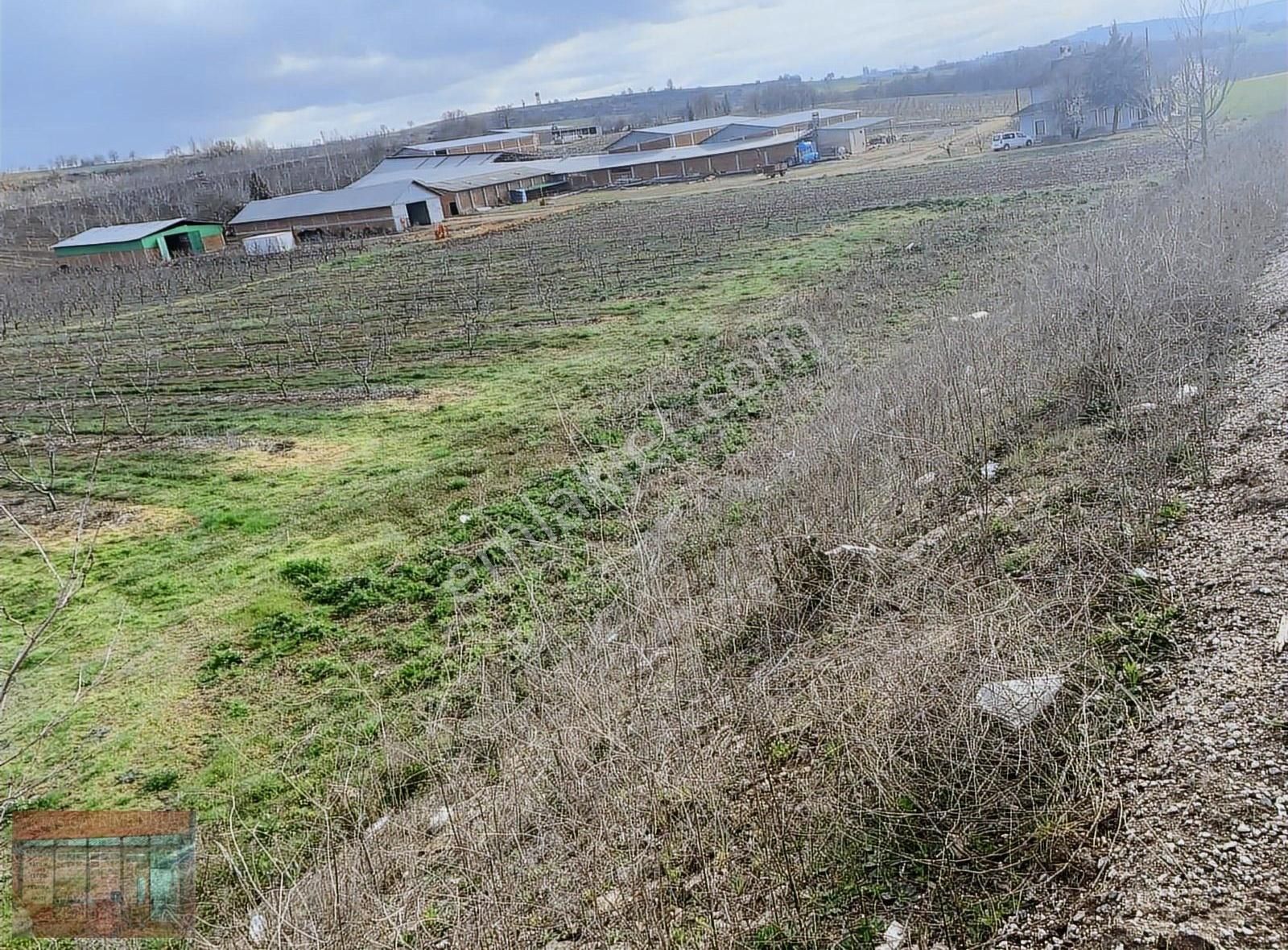 Aktaş 'tan Yenişehir İnegöl Yoluna Cepheli Tarla - Görsel 3