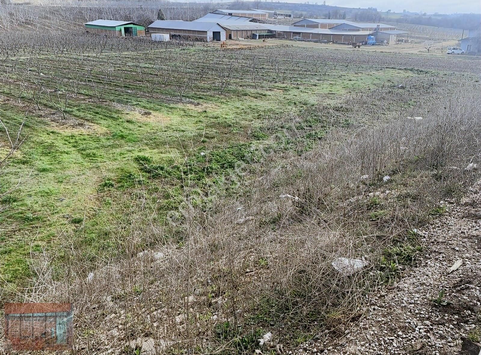 Aktaş 'tan Yenişehir İnegöl Yoluna Cepheli Tarla - Görsel 27