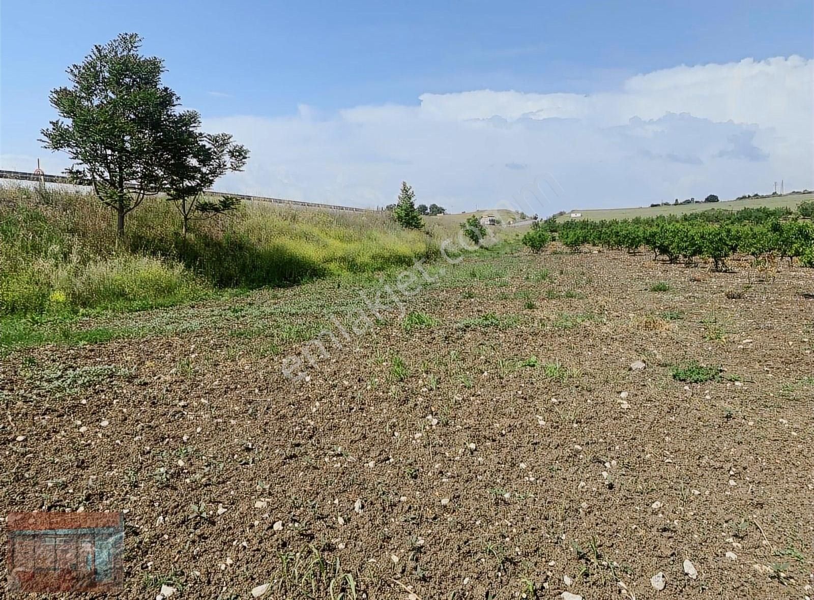 Aktaş 'tan Yenişehir İnegöl Yoluna Cepheli Tarla - Görsel 21