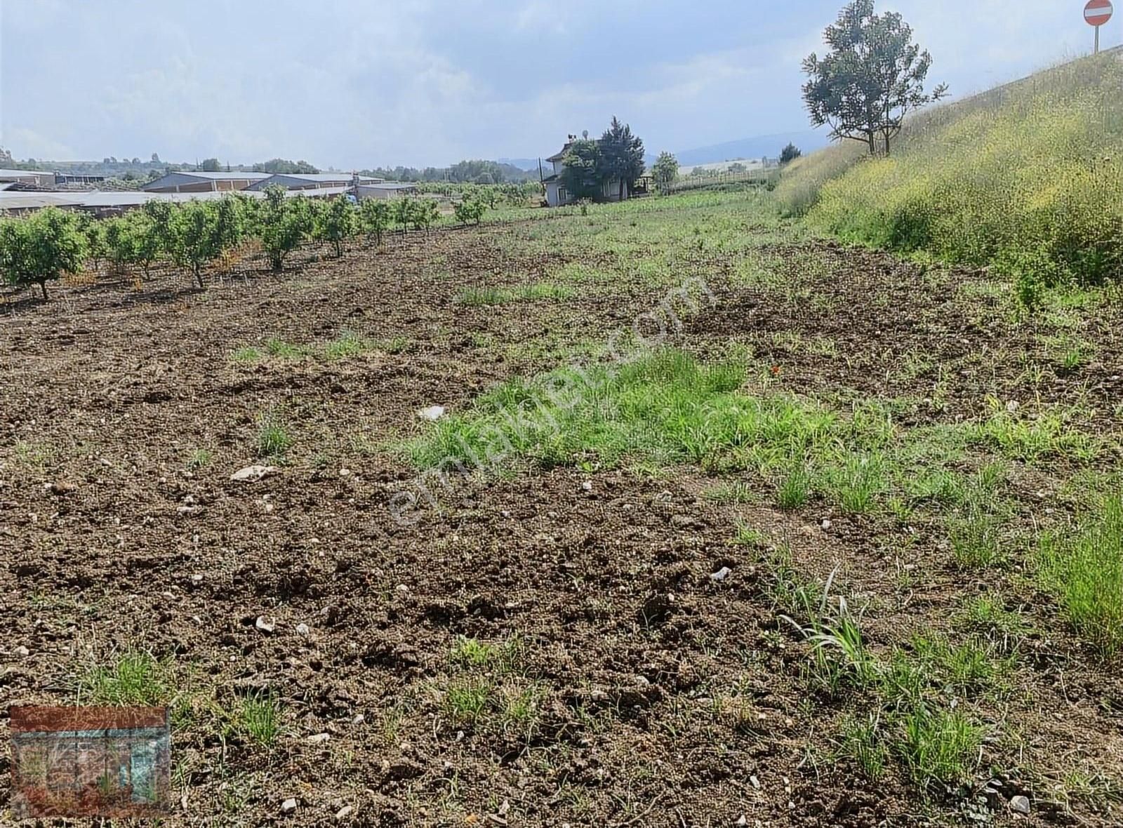 Aktaş 'tan Yenişehir İnegöl Yoluna Cepheli Tarla - Görsel 32