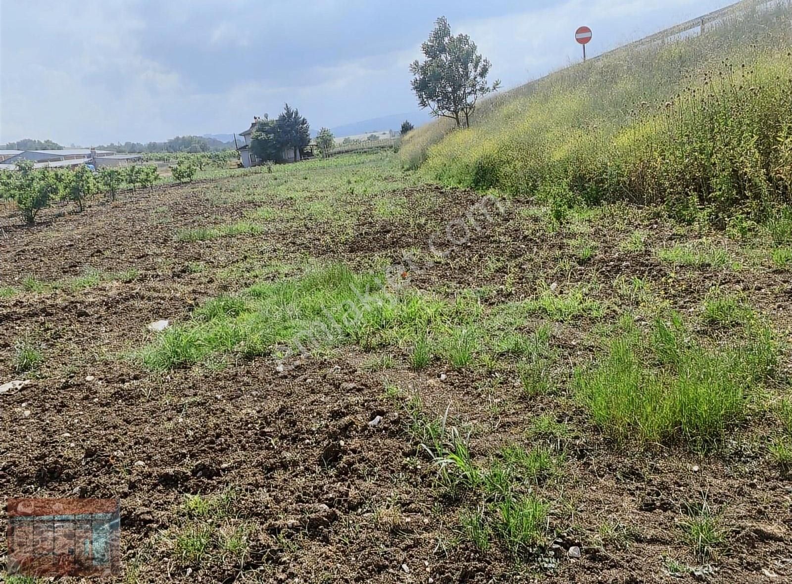 Aktaş 'tan Yenişehir İnegöl Yoluna Cepheli Tarla - Görsel 15