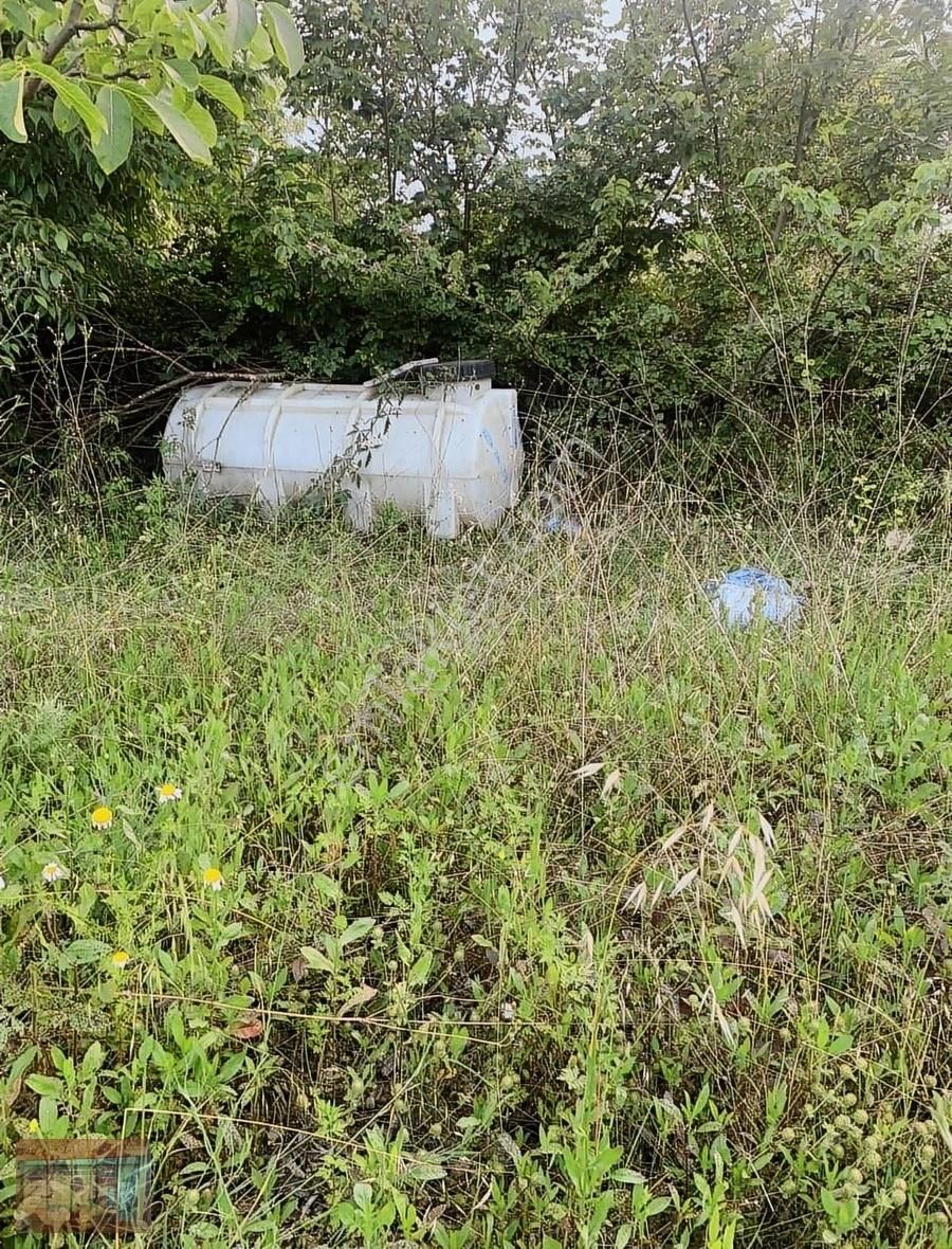 Aktaş Tan Satılık Ceviz Bahçesi 1500 M2 - Görsel 10