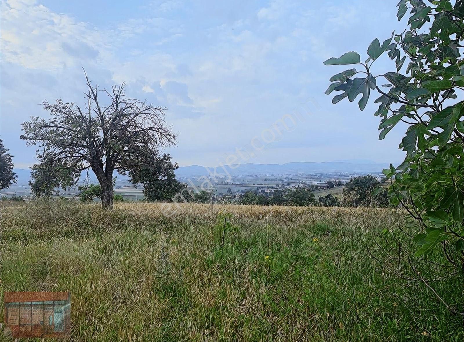 Aktaş Tan Satılık Ceviz Bahçesi 1500 M2 - Görsel 19