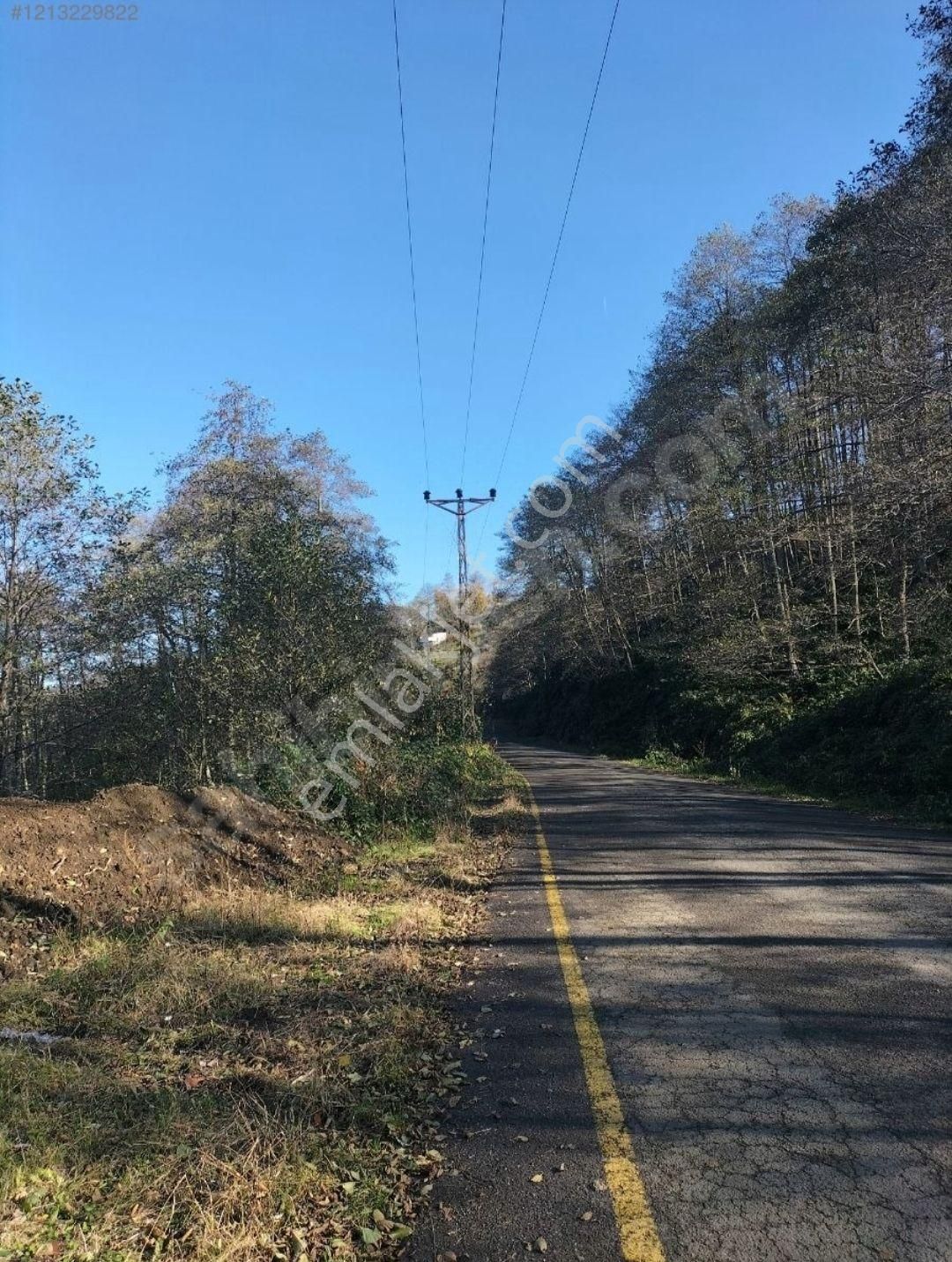 Akçaabat Çilekli Satılık Arazi Yol Kenarı Evlik Arsa