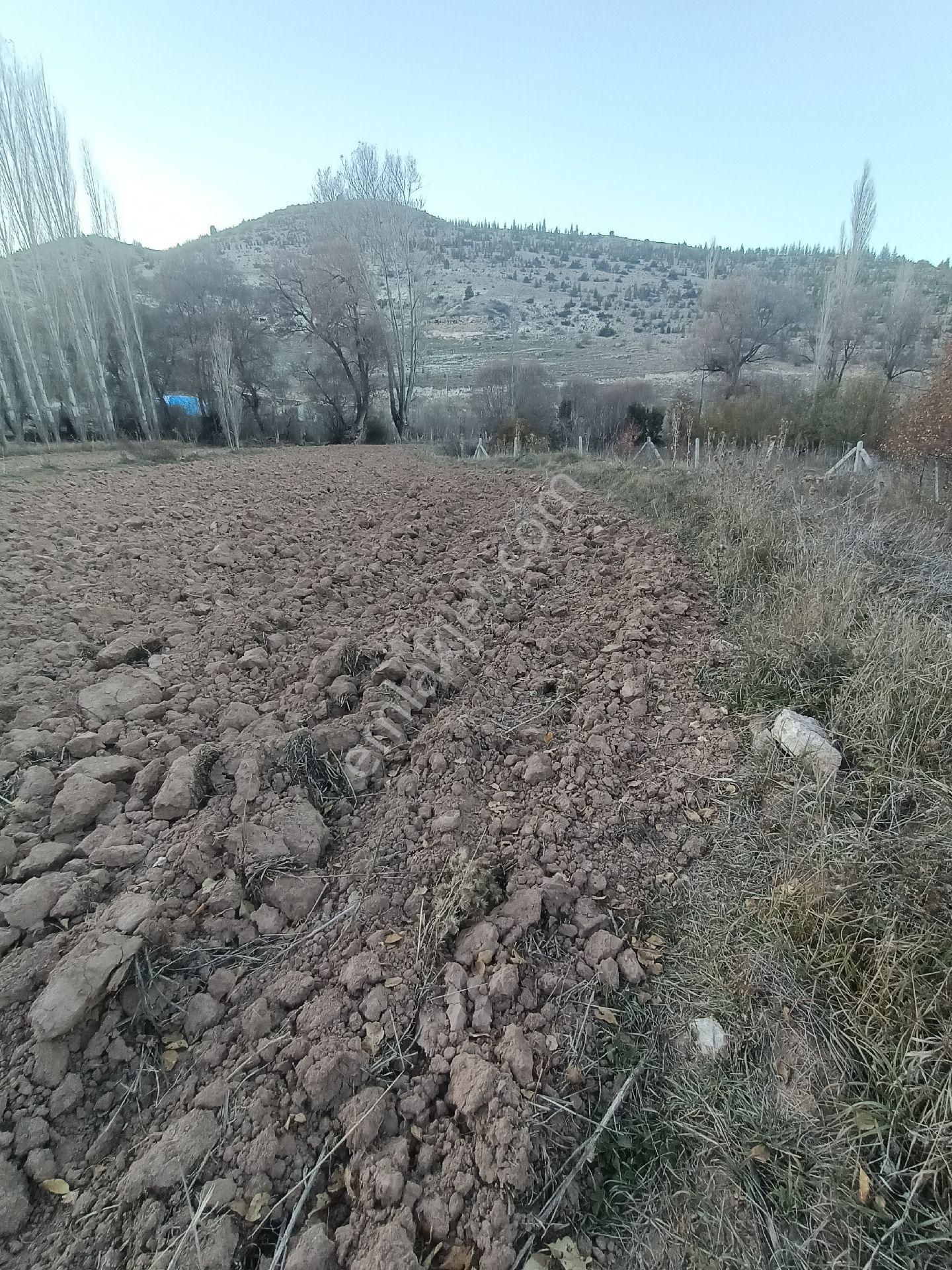 Selçuklu Başarakavak Satılık Tarla K0nya Selçukluda Satılık Tarla