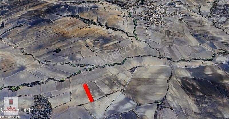 Malkara Demircili Satılık Tarla Malkara Demircili Köyü 5300 M² Resmi Yolu Bulunan Satılık Arazi