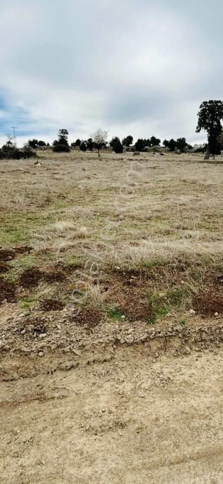 Seydikemer Çobanisa Satılık Tarla Stop’tan Seydikemer İyi Konumda Yola Cephe Satılık Tarla