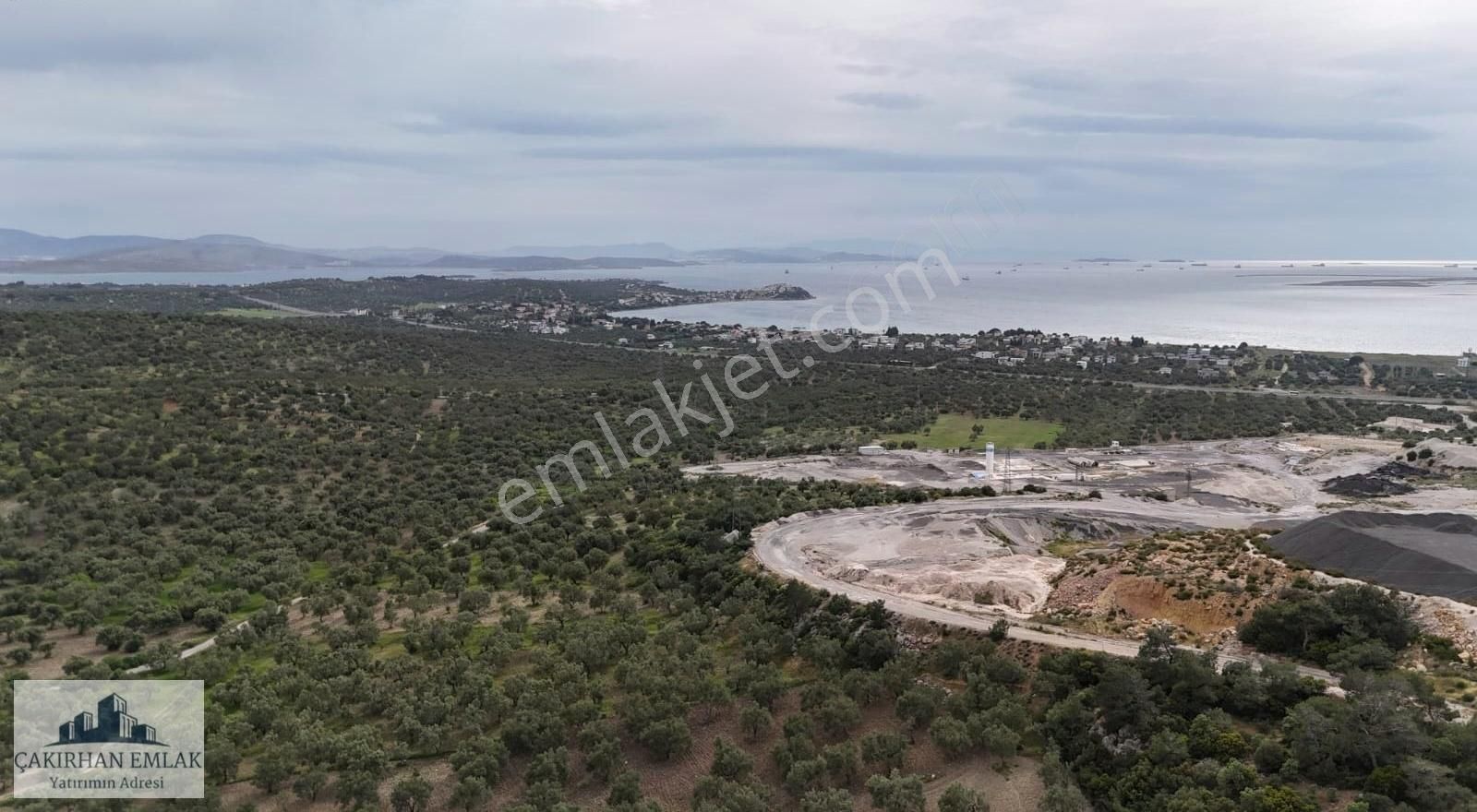 Aliağa Yenişakran Satılık Zeytinlik Aliağa Şakran Ilıca Mevki Satılık Uygun Fiyatlı Zeytinlik