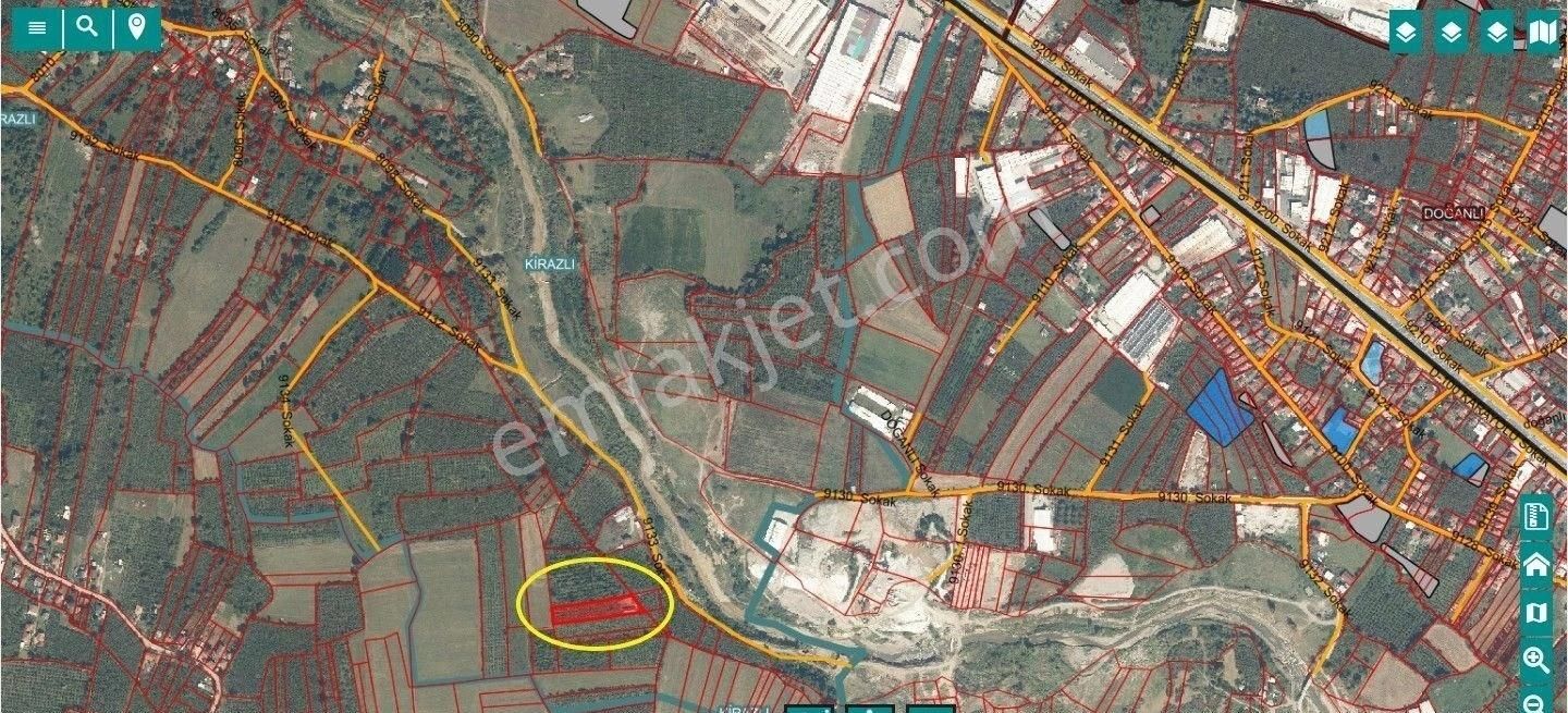 Canbulattan Kirazlıda 5867 M² Arsa İçersinde Satılık Çiftlik - Görsel 13