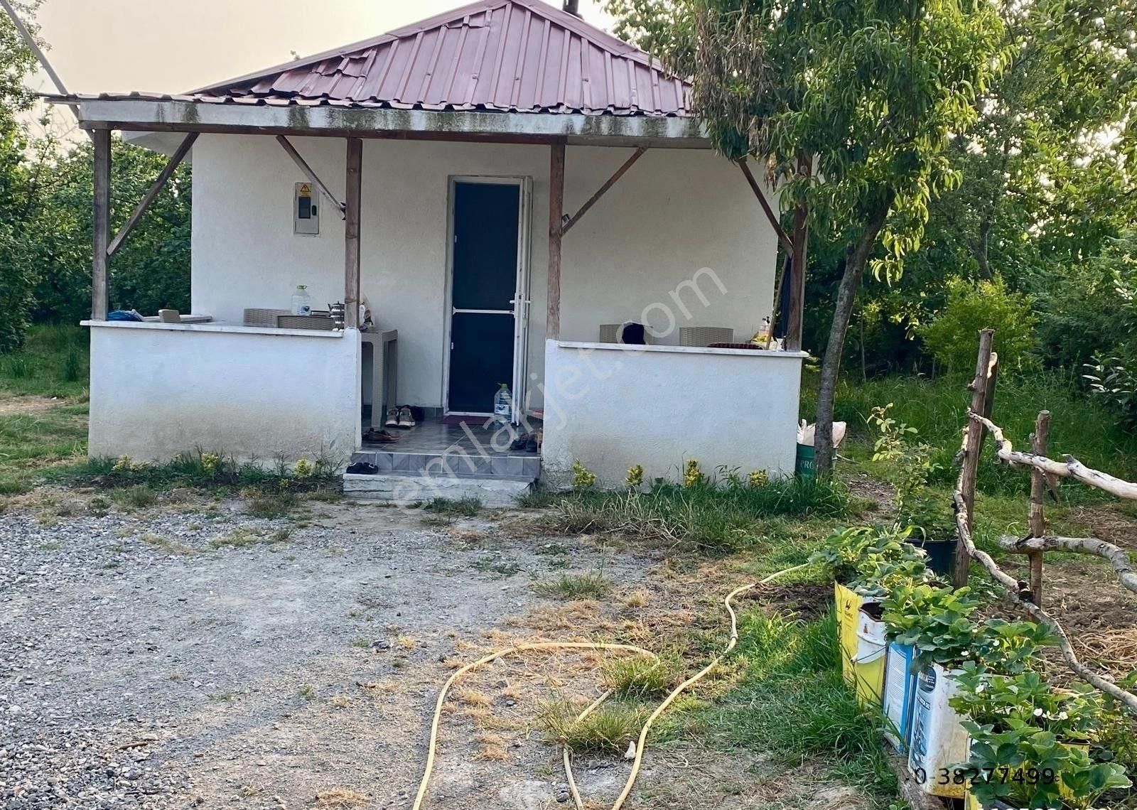 Canbulattan Kirazlıda 5867 M² Arsa İçersinde Satılık Çiftlik - Görsel 3