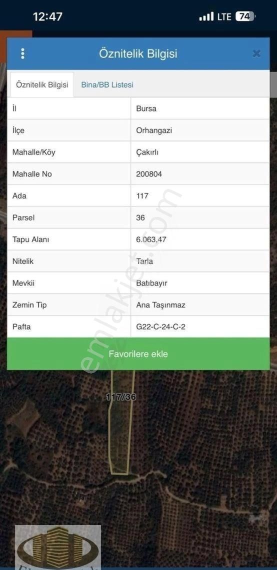 Orhangazi Üreğil Satılık Zeytinlik Elfaris Emlak'tan - Bursa Orhangazi Çakırlı'da 6063 M² Satılık Zeytinlik Arsa