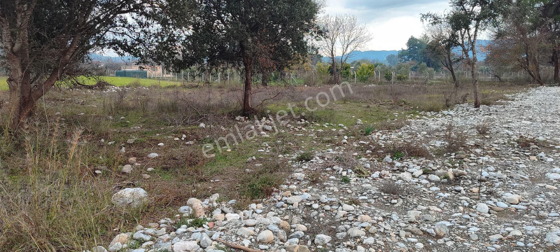 Muğla Ula Karabörtlende 2554m Satılık Tarla - Görsel 2