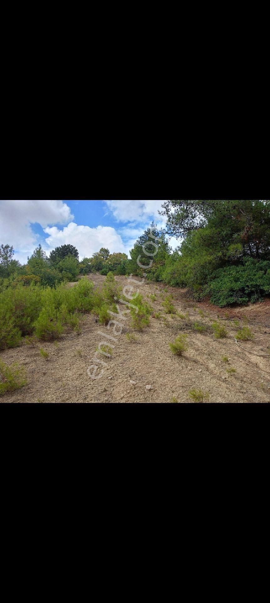 Sahibindensatilik Kizilköyde Birdonum Civ Koyundibi - Görsel 12