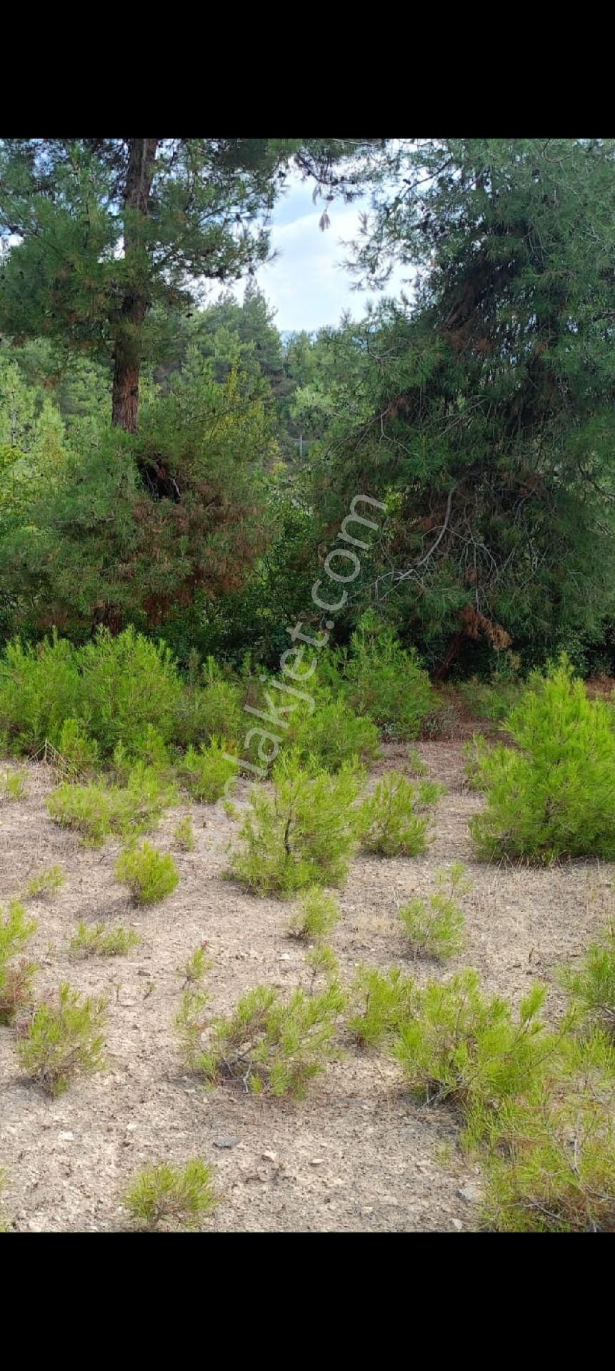 Sahibindensatilik Kizilköyde Birdonum Civ Koyundibi - Görsel 13