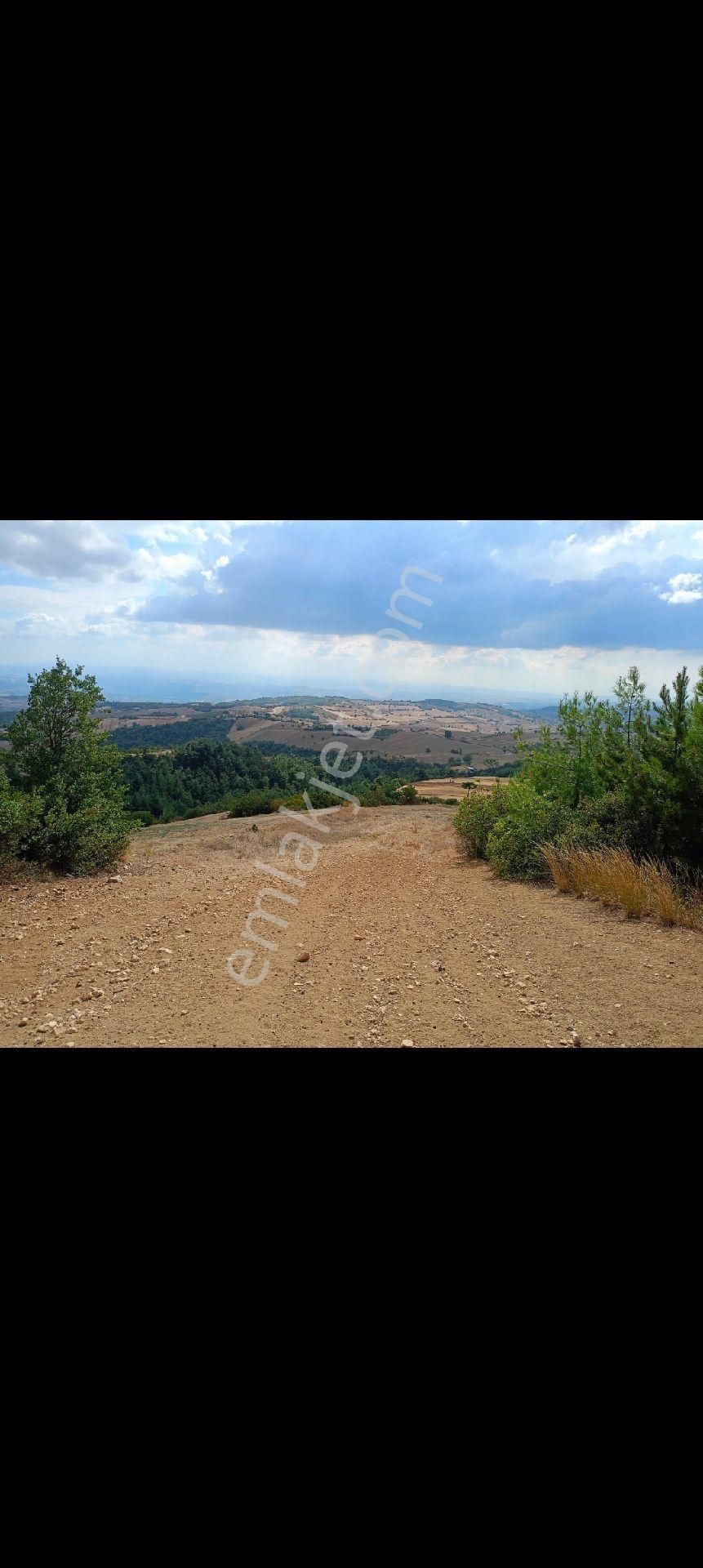 Sahibindensatilik Kizilköyde Birdonum Civ Koyundibi - Görsel 8