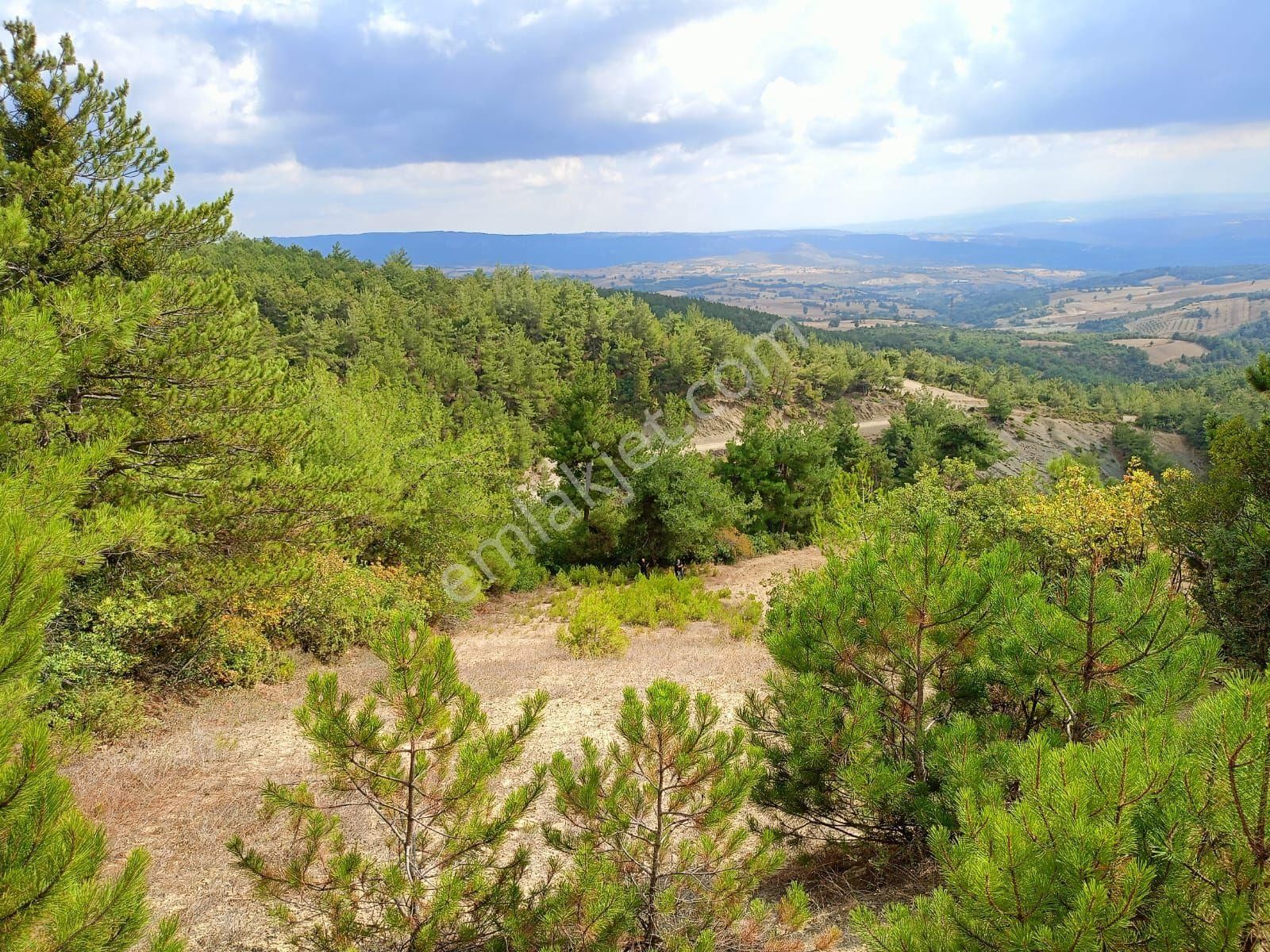 Sahibindensatilik Kizilköyde Birdonum Civ Koyundibi - Görsel 6