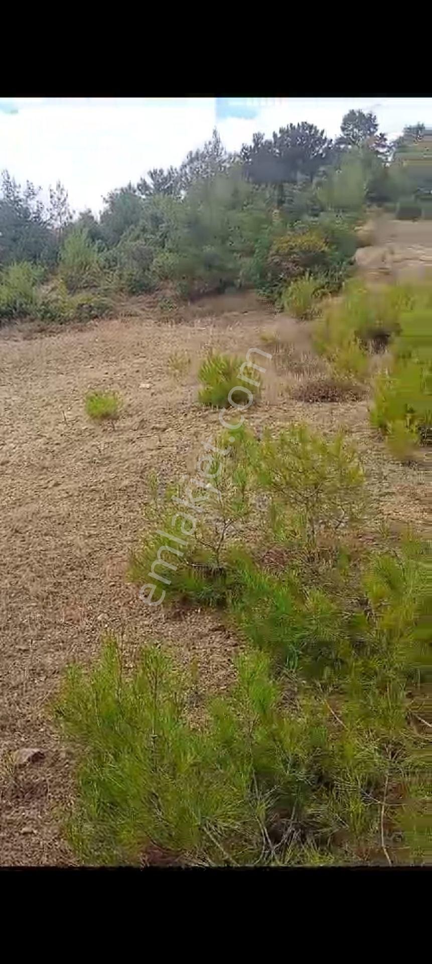 Sahibindensatilik Kizilköyde Birdonum Civ Koyundibi - Görsel 11