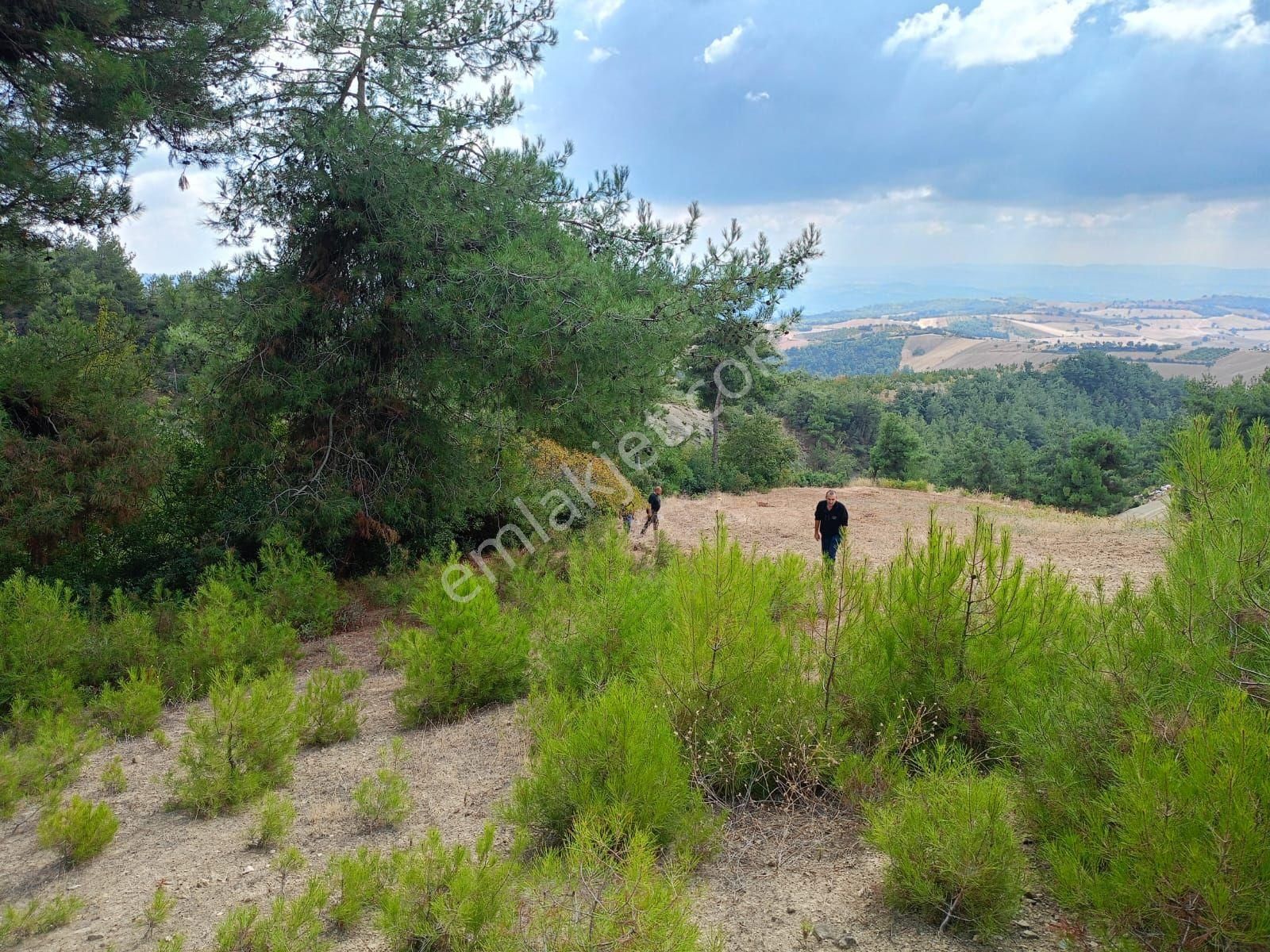 Sahibindensatilik Kizilköyde Birdonum Civ Koyundibi - Görsel 2